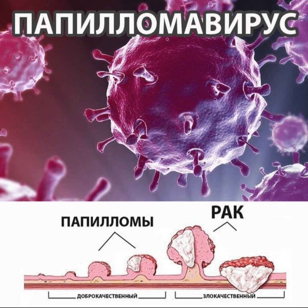 Актуальная информация